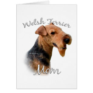 Welsh Terrier Mama 2