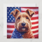 Welsh Terrier mit amerikanischer Flagge und Bandan Einladung (Rückseite)