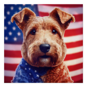 Welsh Terrier mit amerikanischer Flagge und Bandan Poster