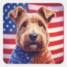 Welsh Terrier mit amerikanischer Flagge und Bandan