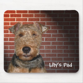 Welsh Terrier on Brick Wall Mousepad
