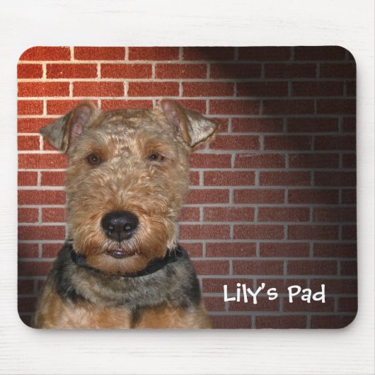 Welsh Terrier on Brick Wall Mousepad (Vorne)
