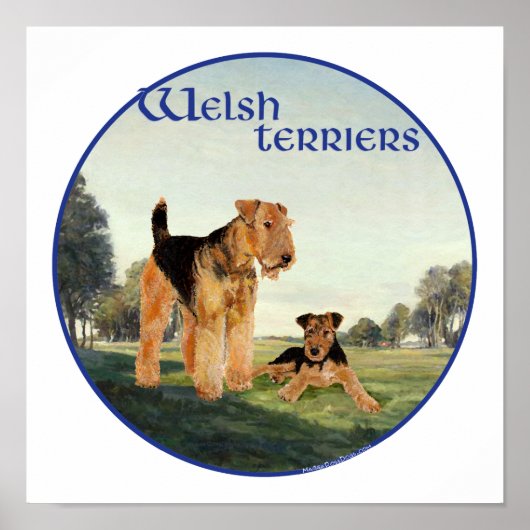 Welsh Terrier Poster (Vorne)