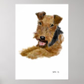 Welsh Terrier poster (Vorne)