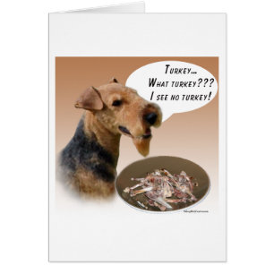 Welsh Terrier Türkei