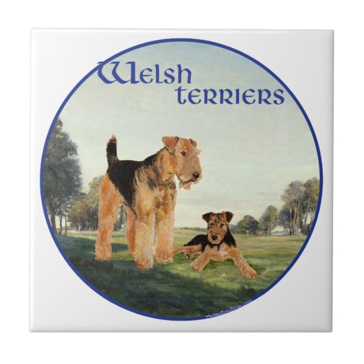 Welsh Terriers Fliese (Vorderseite)