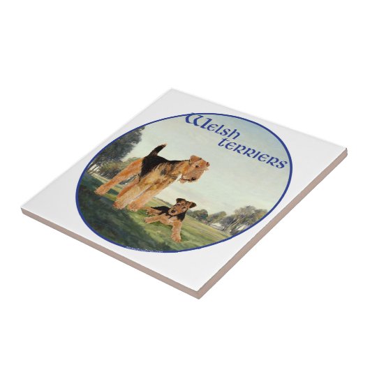 Welsh Terriers Fliese (Seite)