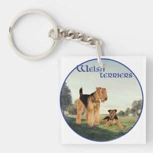 Welsh Terriers Schlüsselanhänger