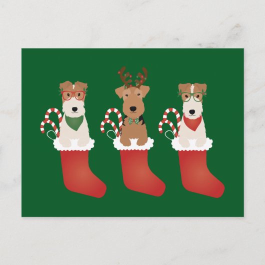 Welsh Wire Fox Terrier Dogs Weihnachten Postkarte (Vorderseite)