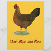 WelSummer Hen Flyer (Vorne)