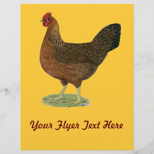 WelSummer Hen Flyer (Vorne)