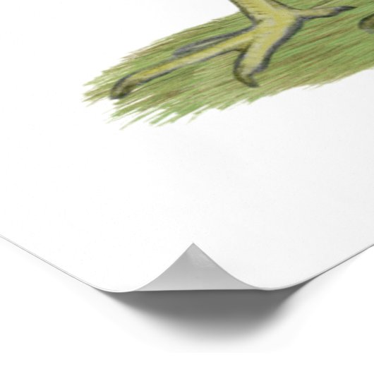 Welsummer Hen Poster (Ecke)