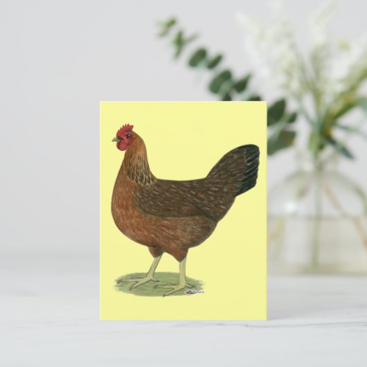 WelSummer Hen Postkarte (Stehend Vorderseite)
