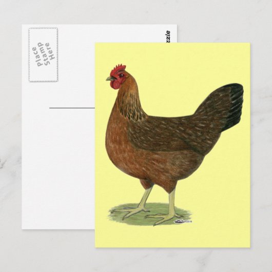 WelSummer Hen Postkarte (Vorne/Hinten)