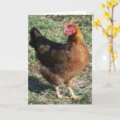 Welsummer Henne heraus im Sonnenschein Karte (Gelbe Blume)