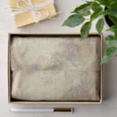 Welt 10 seidenpapier (Geschenk)