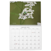 Welt der Bugs und Arachniden Creepy Crawly Kalender (Jan 2027)