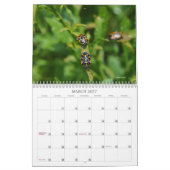 Welt der Bugs und Arachniden Creepy Crawly Kalender (Mär 2027)
