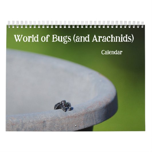 Welt der Bugs und Arachniden Creepy Crawly Kalender (Titelbild)