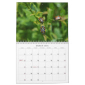 Welt der Bugs und Arachniden Creepy Crawly Kalender (Mär 2026)