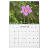 Welt der Bugs und Arachniden Creepy Crawly Kalender (Feb 2026)