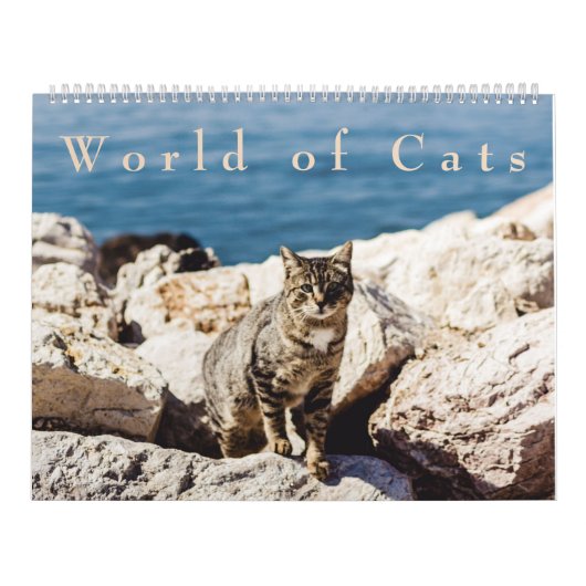 Welt des Katzen-Kalenders Kalender (Titelbild)