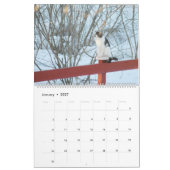 Welt des Katzen-Kalenders Kalender (Jan 2027)
