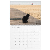 Welt des Katzen-Kalenders Kalender (Mär 2027)