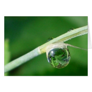 Welt in einem Tröpfchen