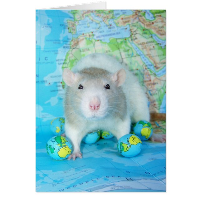 Welt-Rat-Tageskarte (Vorne)