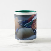 Weltberühmte Central Park-Mandarinen-Ente Tasse (Zentrum)