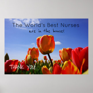Weltbeste Krankenpfleger-Plakate für die Pflegewoc Poster
