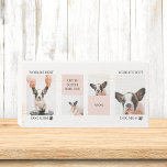 Weltbeste Mama für Hunde | Collage Foto | Pastellr Holzkisten Schild<br><div class="desc">Dieses Collage Foto ist eine Feier der weltbesten Hundemutter! Der pastellrosa Hintergrund verleiht dem Stück eine Touch von Weichheit und Weiblichkeit, während die verschiedenen Fotos die Liebe und Zuneigung zwischen Hund und ihrem Hundebesitzer zeigen. Jedes Foto fängt einen besonderen Moment zwischen den beiden ein, vom Spielen im Park bis zum...</div>