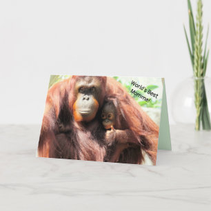 Weltbeste Mama - Orang-Utan Muttertagskarte Karte