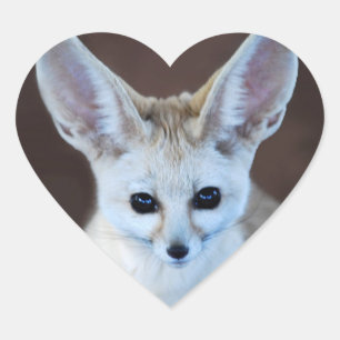 Welten Niedlicher Fennec Fox Herz-Aufkleber