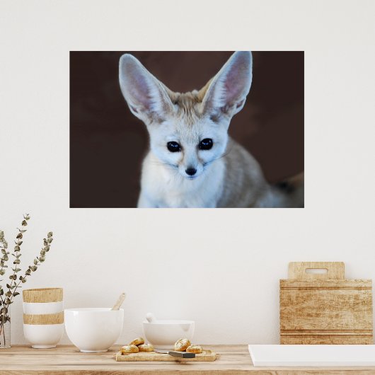 Welten Niedlicher Fennec Fox Poster (Küche)