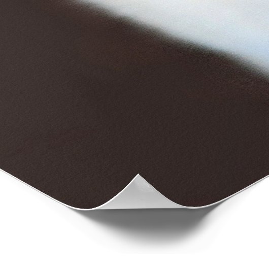 Welten Niedlicher Fennec Fox Poster (Ecke)