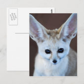 Welten Niedlicher Fennec Fox Postkarte (Vorne/Hinten)