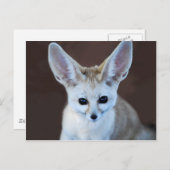 Welten Niedlicher Fennec Fox Postkarte (Vorne/Hinten)