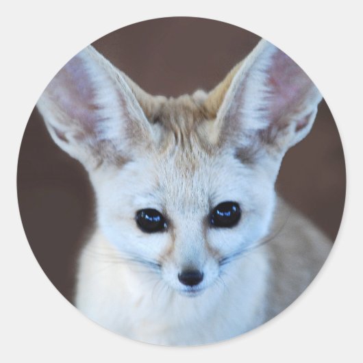 Welten Niedlicher Fennec Fox Runder Aufkleber (Vorderseite)