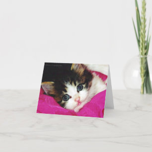 Welten Niedlicher Kitten Karte