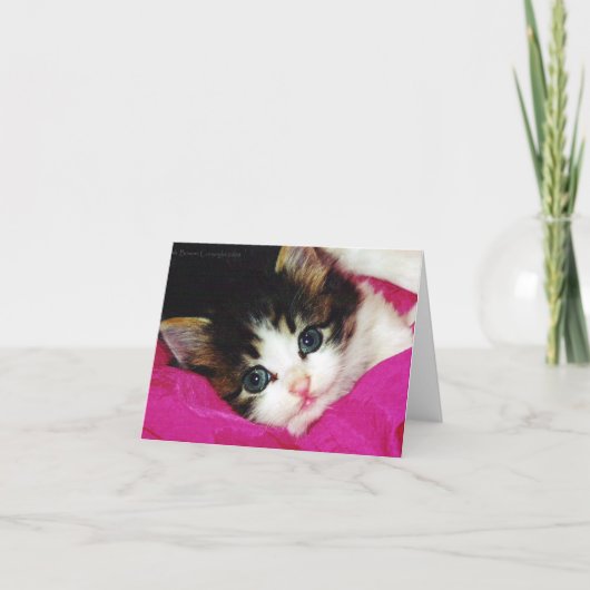 Welten Niedlicher Kitten Karte (Vorderseite)