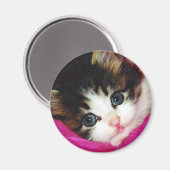 Welten Niedlicher Kitten Magnet (Vorderseite/Rückseite)