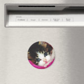 Welten Niedlicher Kitten Magnet (In Situ (Geschirrspüler))