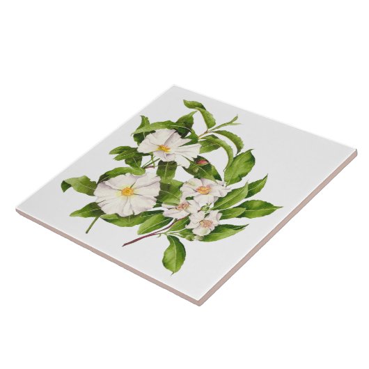 'Weltfrieden' auf einer Keramik Fliese (Seite)