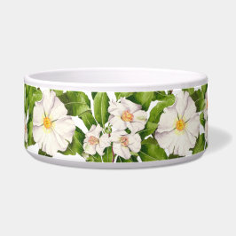 'Weltfrieden' auf einer Salatschale (W) Napf