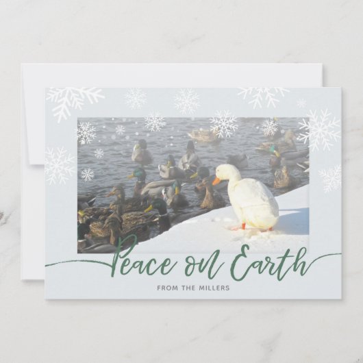 Weltfrieden Ducks Holiday Card Feiertagskarte (Vorderseite)