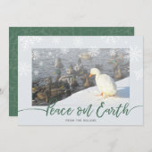 Weltfrieden Ducks Holiday Card Feiertagskarte (Vorne/Hinten)