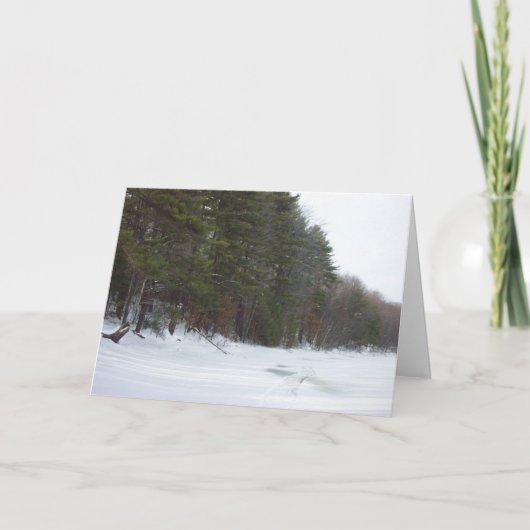 Weltfrieden Feiertagskarte (Vorderseite)