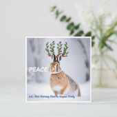 Weltfrieden: Holly Crown Hare Peace Liebe Karte (Stehend Vorderseite)